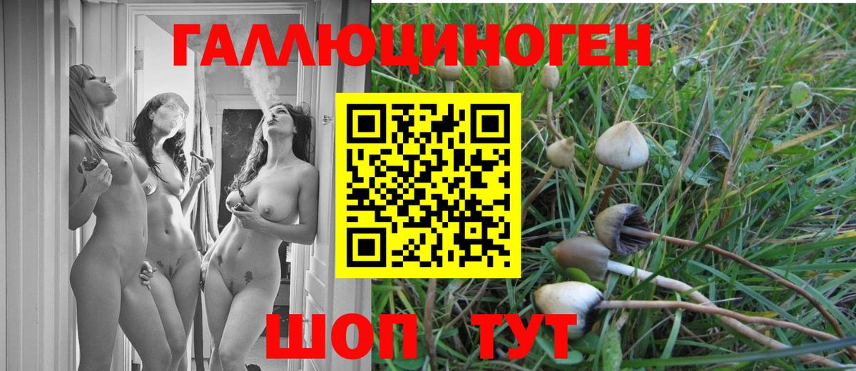 Кизилюрт  Галлюциногенные грибы прущие грибы  Вход с VPN 